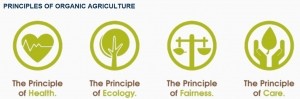IFOAM principles of organic certification in the EU