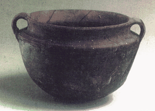 The pot