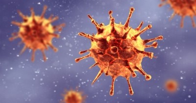 Danish Crown fights off Coronavirus concerns for now