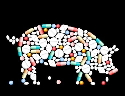 Antibiotic resistance meat, pork, pig Copyright PeterHermesFurian