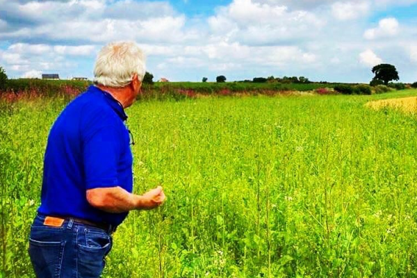 A PepsiCo oat farmer in his field surrounded by wide, wildflower borders, part of his sustainability efforts Pic Quaker