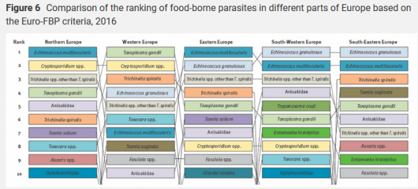 eurosurv foodborne parasite