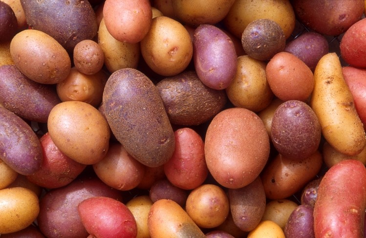 Potatoes offer nutritional value for money, say researchers