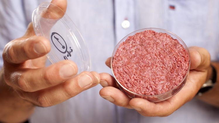 In August 2013, Post presented the first cultured meat hamburger to the world