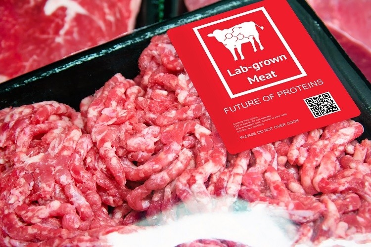 cell-based meat JIRAROJ PRADITCHAROENKUL