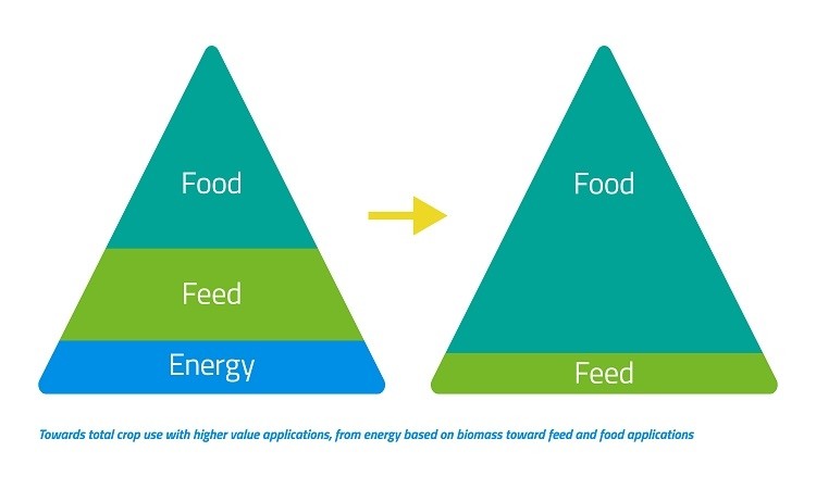 Food Feed Energy