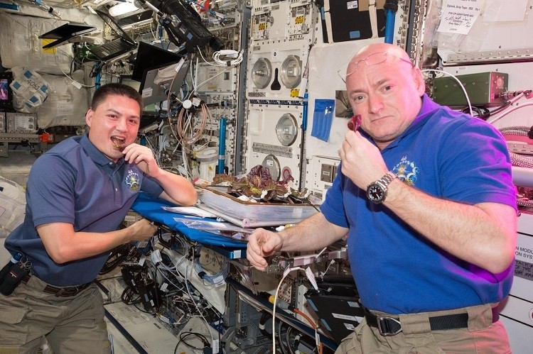 space lettuce astronauts eating lettuce
