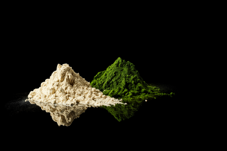 Food tech startup on why now is the time to scale up production / Pic: aliga_white_green_Chlorella_1128