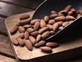 Californian almond prices are at an 'all-time low', with supply exceeding demand. GettyImages/4kodiak