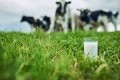 Do consumers want lower methane dairy? And how can the sector best communicate better environmental practices? GettyImages/PeopleImages