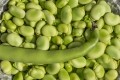 Consumers did not show liking towards faba beans in any of the forms in which they were presented. Image Source: Getty Images/Ulrike Leone