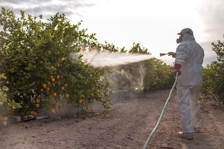 Pesticides - fruit - GettyImages-Worledit