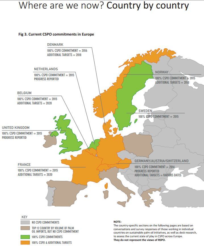 rspo-june-2015-report.jpg