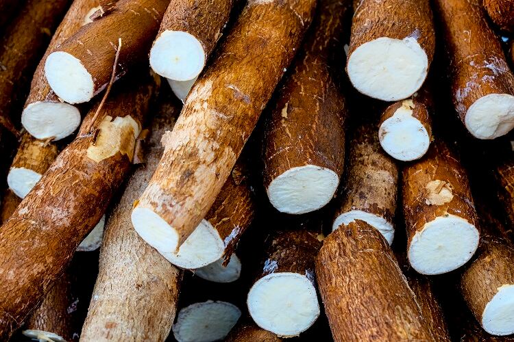 Frito-Lay files patent for native cereal, root and pulse snacks