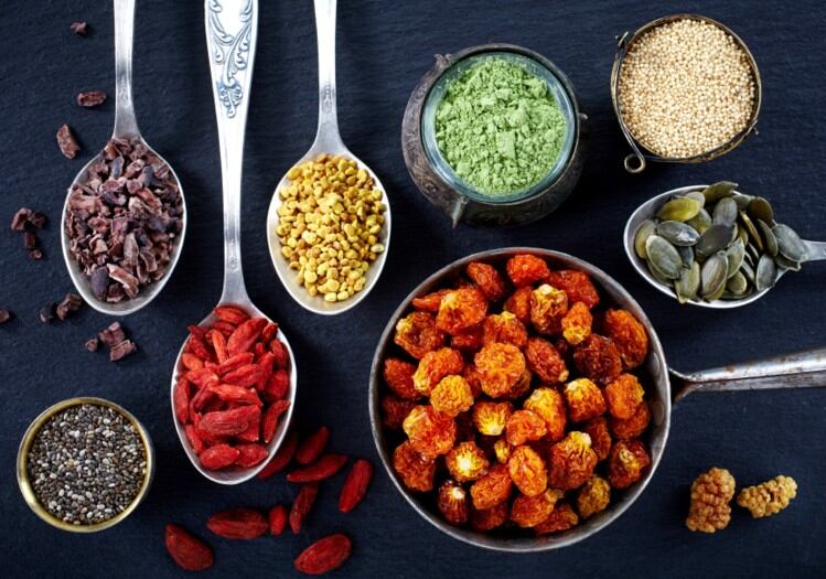 Industry insights from NIZO: The protein transition