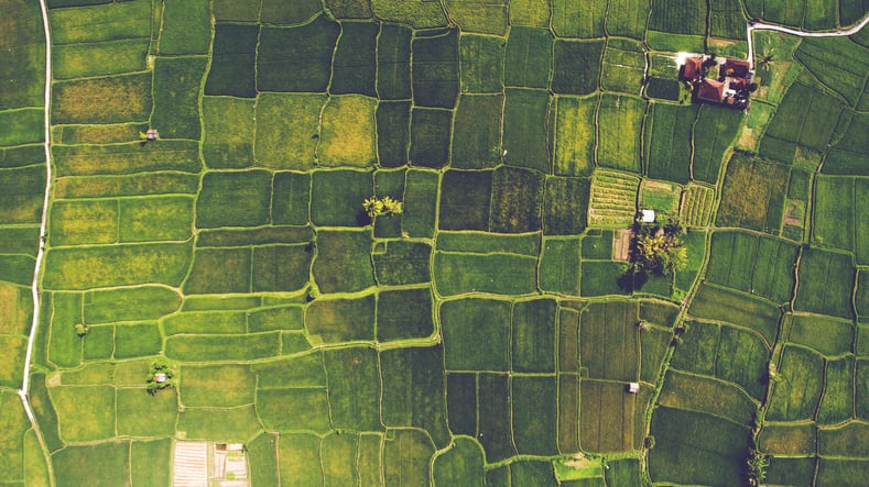 Organic-sales-farms-up-double-digits-but-acreage-rises-only-high-singles-signaling-need-for-support.jpg