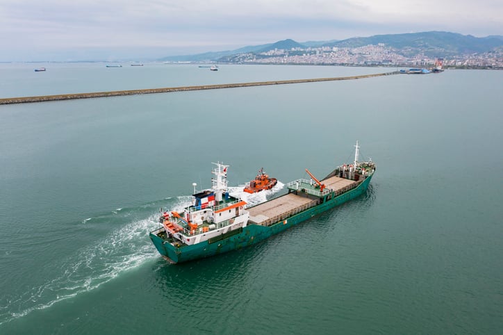 Russia withdraws from Black Sea grain export deal 