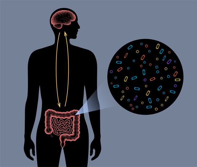 Connection-between-autism-and-the-microbiome-established.jpg