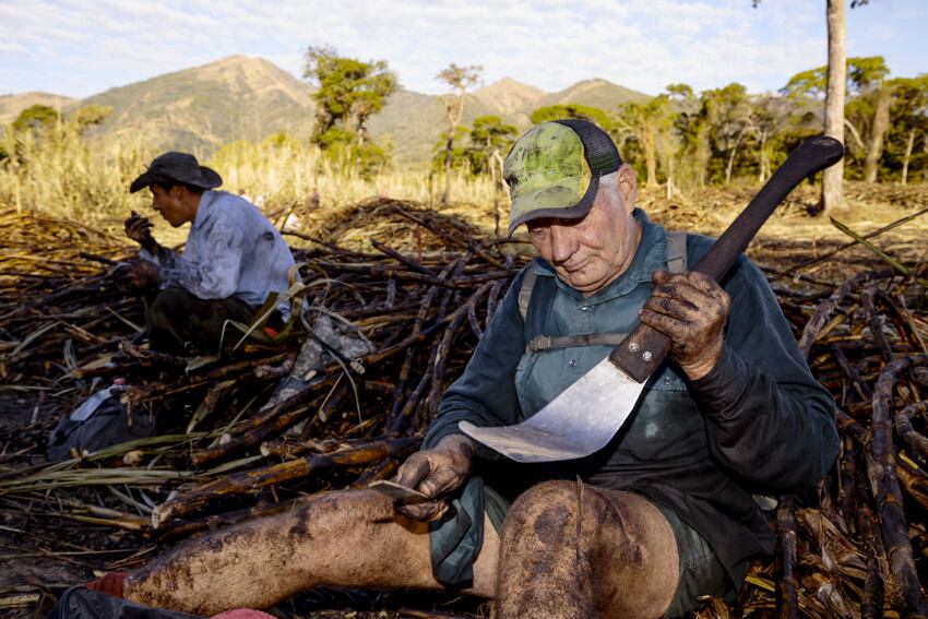sugarcane-project.jpg
