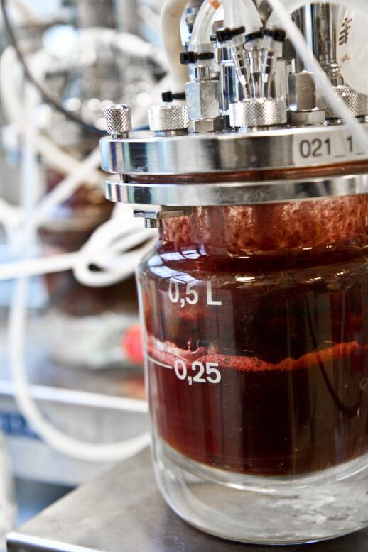 Chromologics-fermented-red.jpg