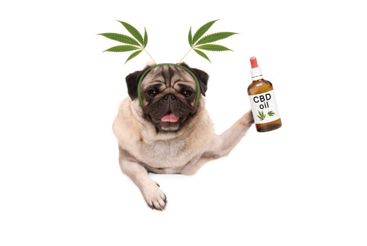 Plaintiff's Bar turns attention to CBD with wave of lawsuits alleging products contain ‘significantly lower levels' than advertised