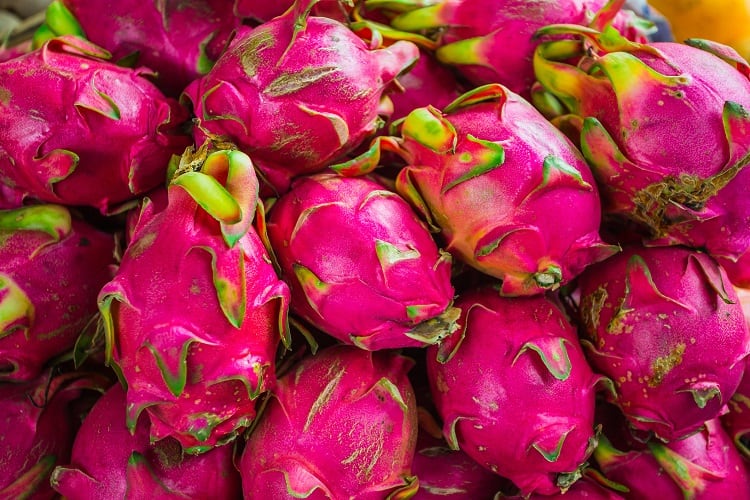 Flavor-innovation-LATAM-sports-nutrition-Synergy-Flavors.jpg