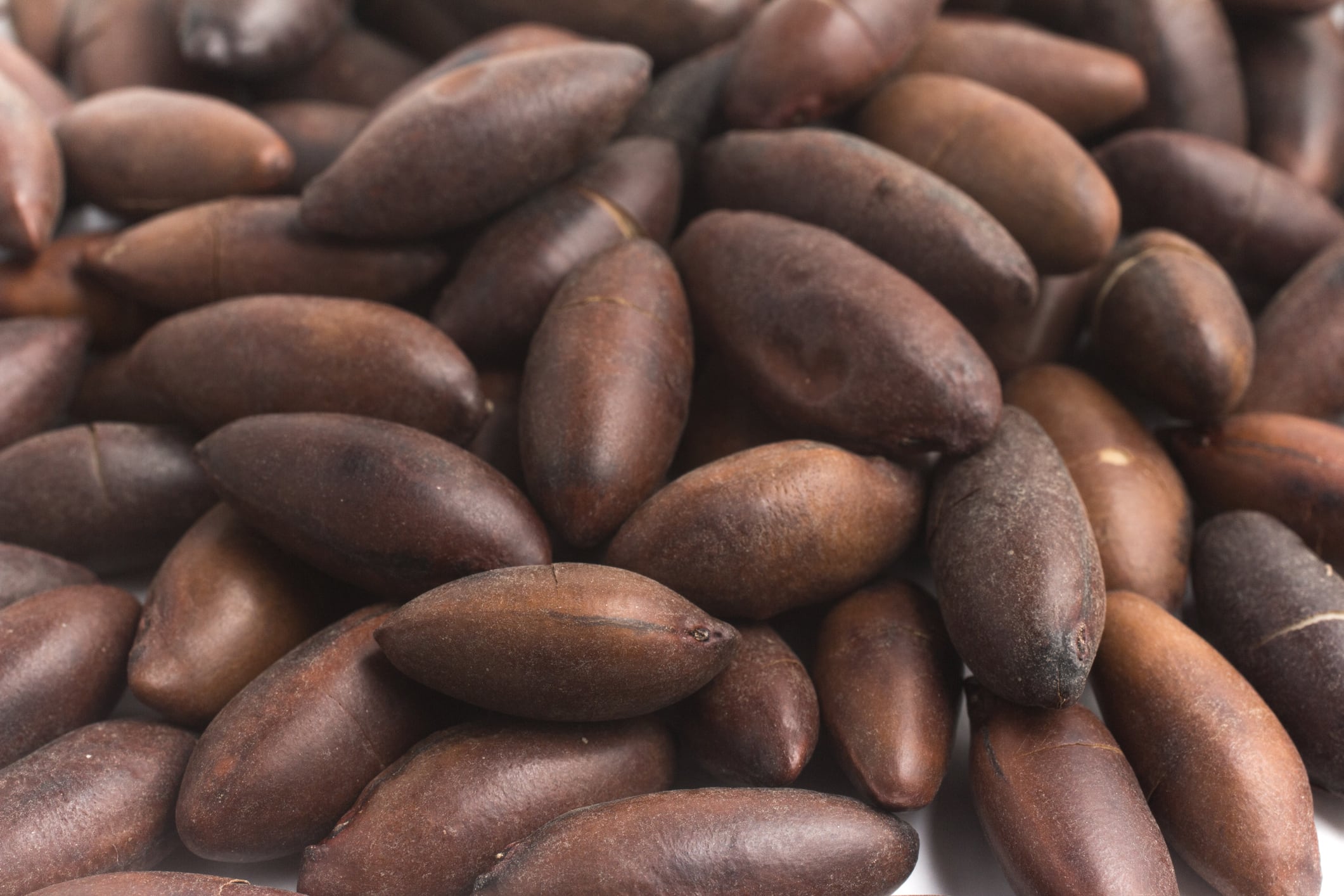 Baru nut consumption may boost antioxidant defenses in obese people: Brazil study