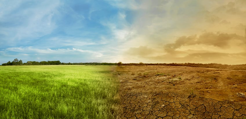 Feeding-10-billion-people-sustainably-by-2050-may-be-possible-this-is-how-say-researchers.jpg