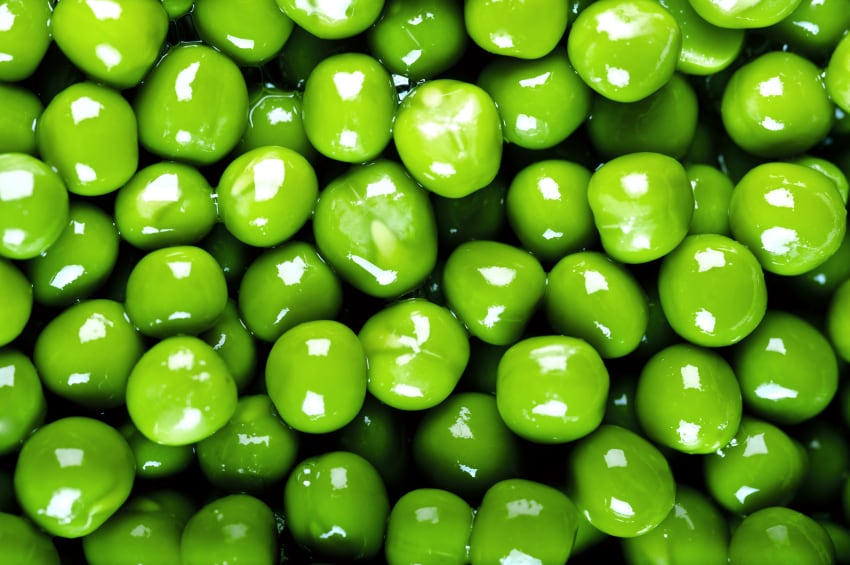 Pea protein trend sparks allergy warning