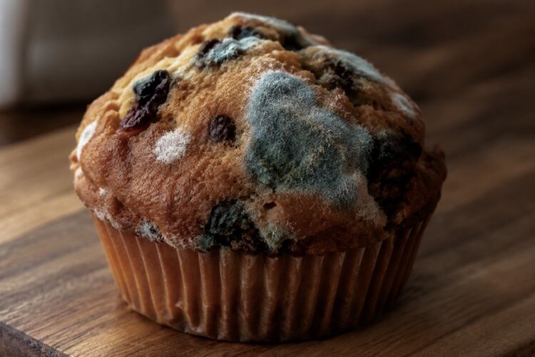 AI-generated image used for illustrative purposes only. It does not depict a real food safety complaint, product defect or contamination event.