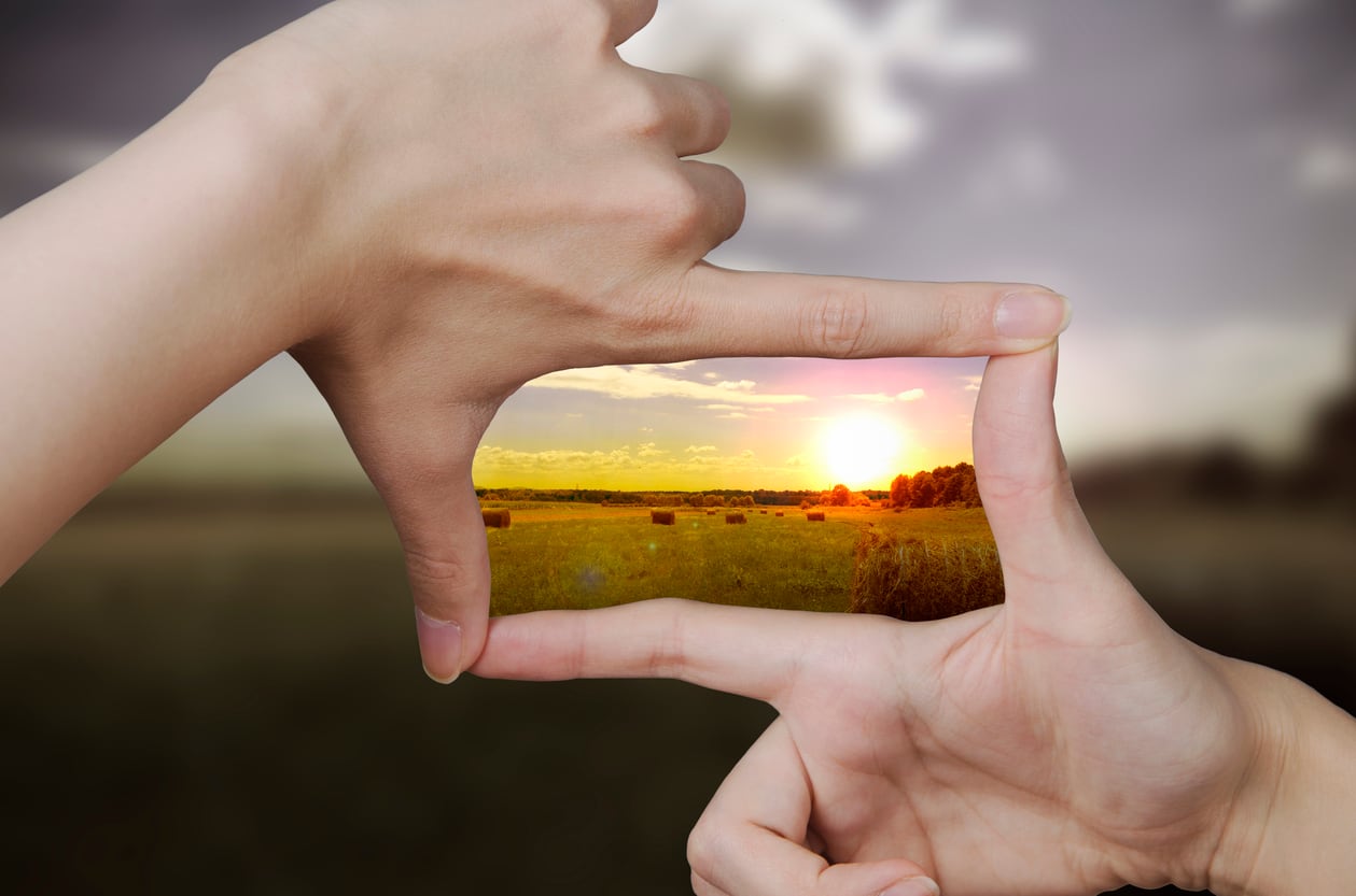 Radical transparency is needed to overcome ‘greenwashing’ scepticism