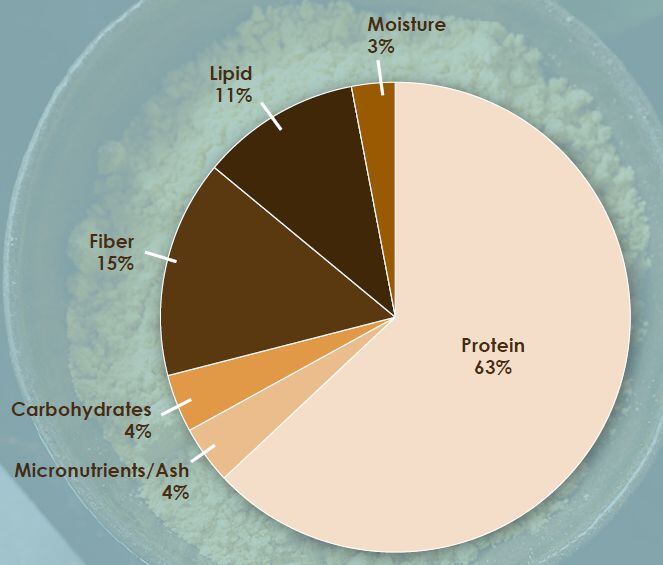 chart.jpg