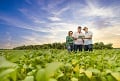 Sourcing Soy in Brazil’s Cerrado: Can Farmers and Forests Coexist?
