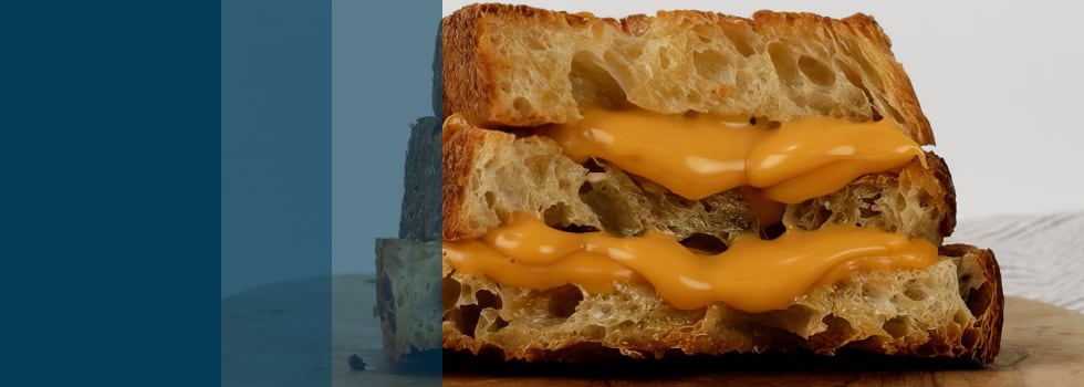 Vegan-plant-based-cheese-that-delivers-nutrition-and-sensory-experience.jpg