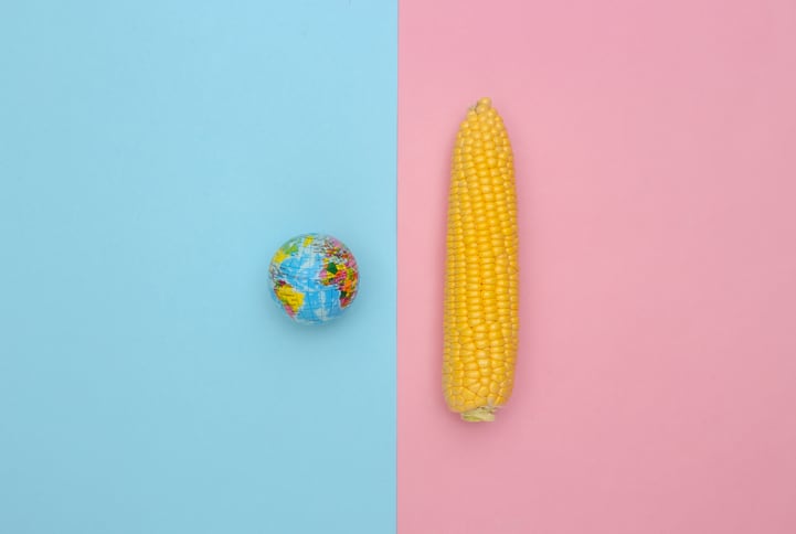 UK's new food strategy illustrates challenge of productivity and food security versus sustainable nutrition