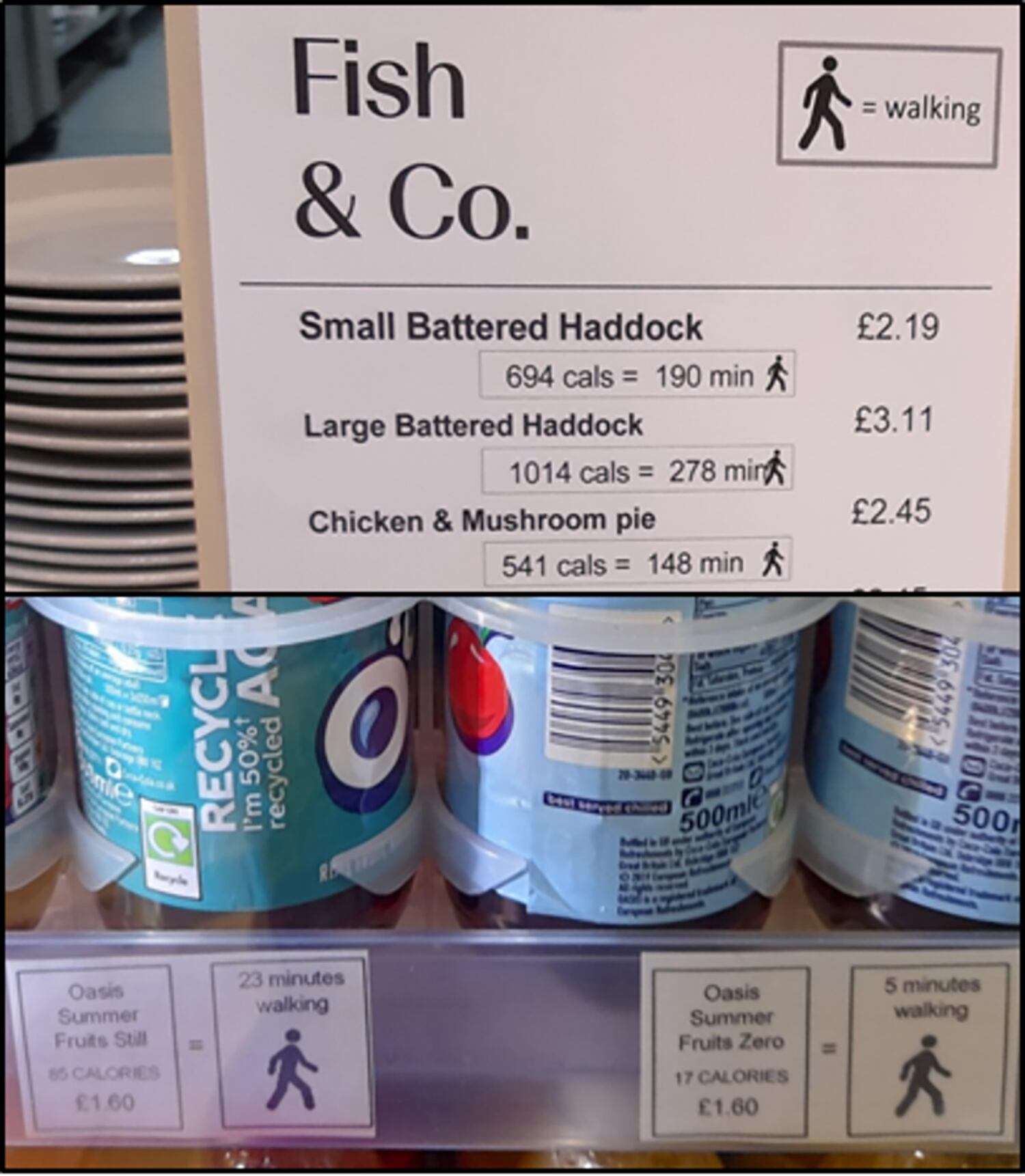 food-label-study.png