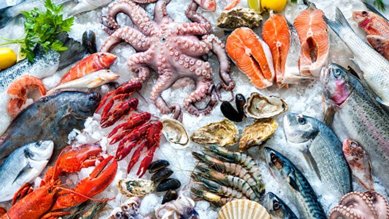 FAO on seafood strategy: Keeping fish affordable and preventing new sustainability crises tops agenda 