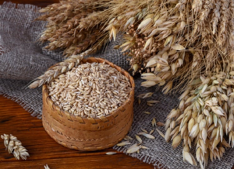 Fazer expands in Finland with €40m production facility for plant-based products
