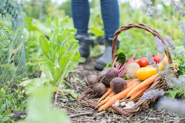FAO and Coldiretti to promote family farming in Italy 