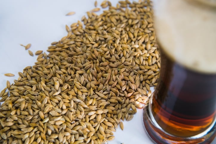 Phytochemical-rich malt side stream a 'high potential source of development for the food industry’