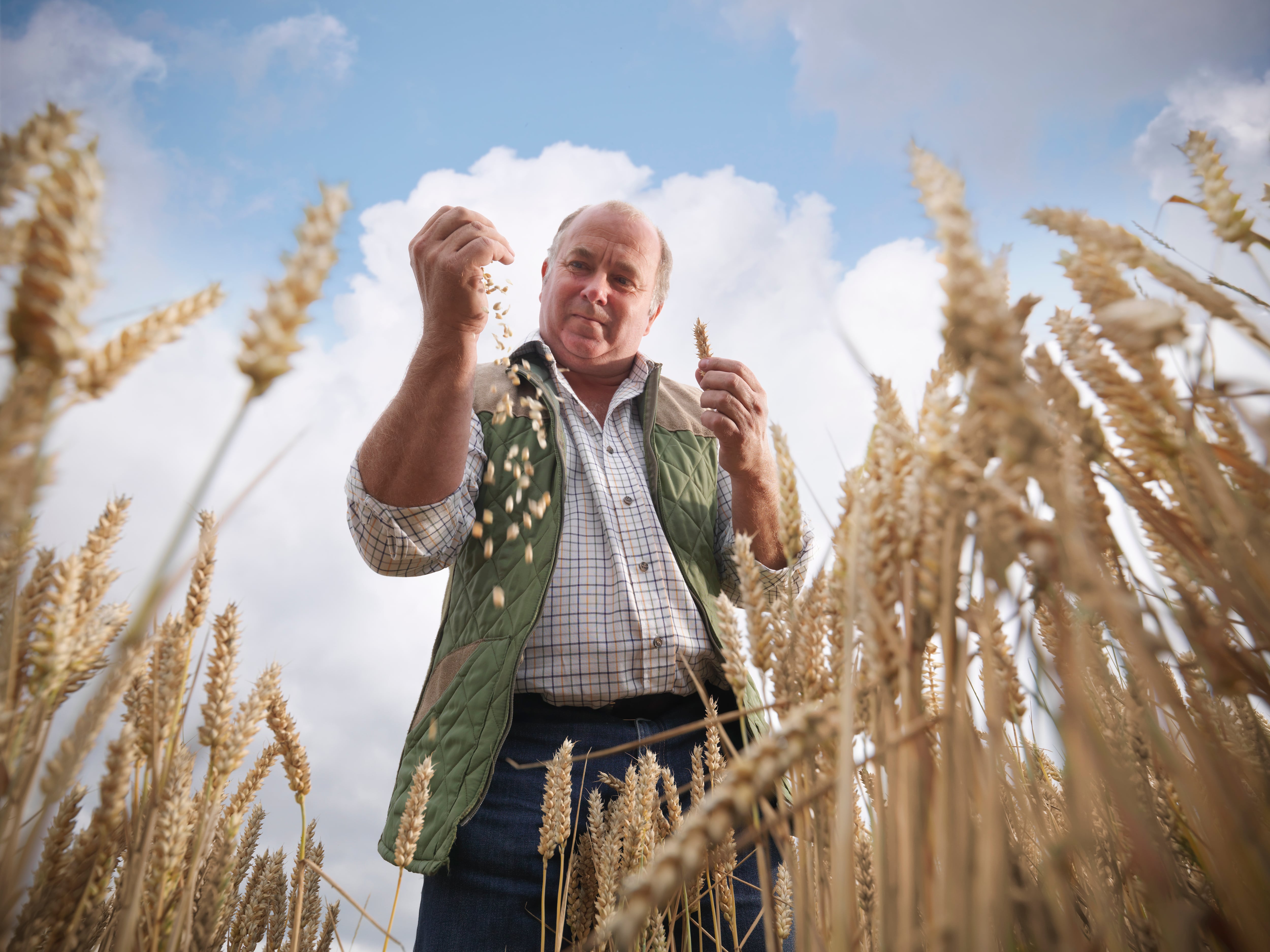 EU mulls US produce ban to protect farmers 