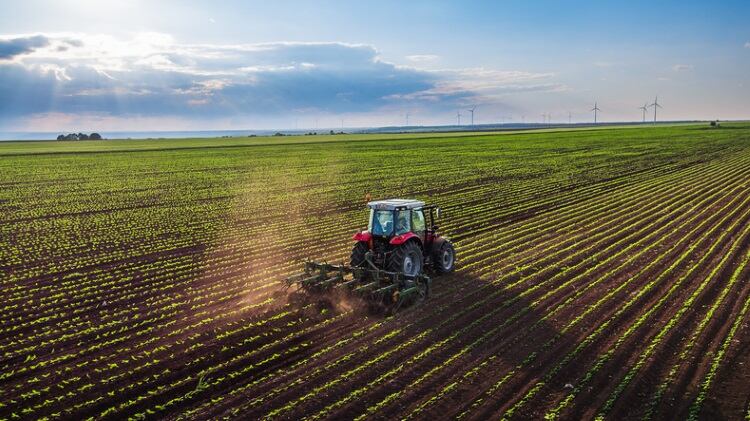 Russia’s agricultural industry set to receive record-breaking state aid 