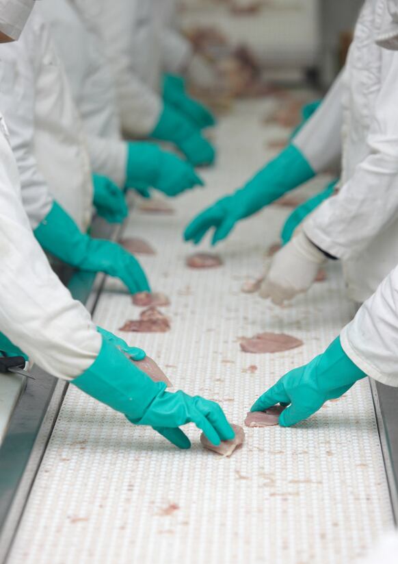 factory-worker-production-line-meat-Copyright-Picsfive.jpg