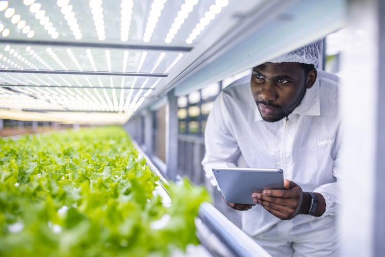 Is indoor farming susceptible to greenwashing? ‘If you’re doing great things - prove it’