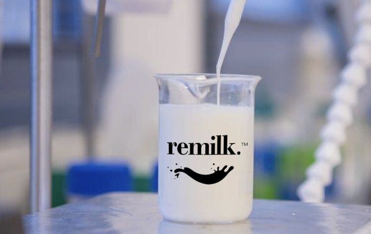 Remilk_animal-free-dairy-milk.jpg