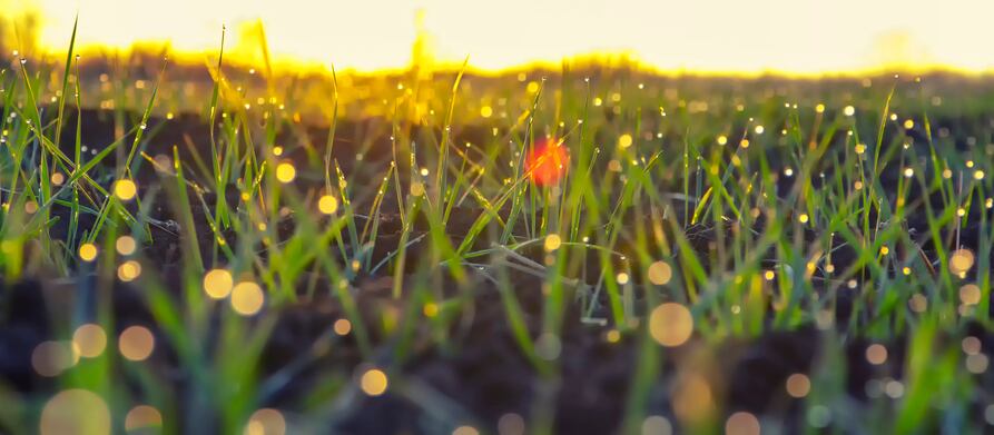 The start-up making upcycled soil enhancer to cut emissions and address the food production demands of a growing global population