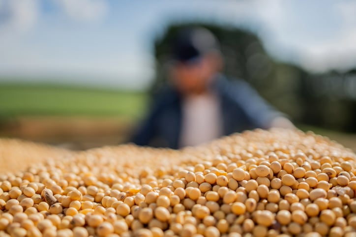 What impact will EU deforestation law have on Brazilian soy trade with EU?