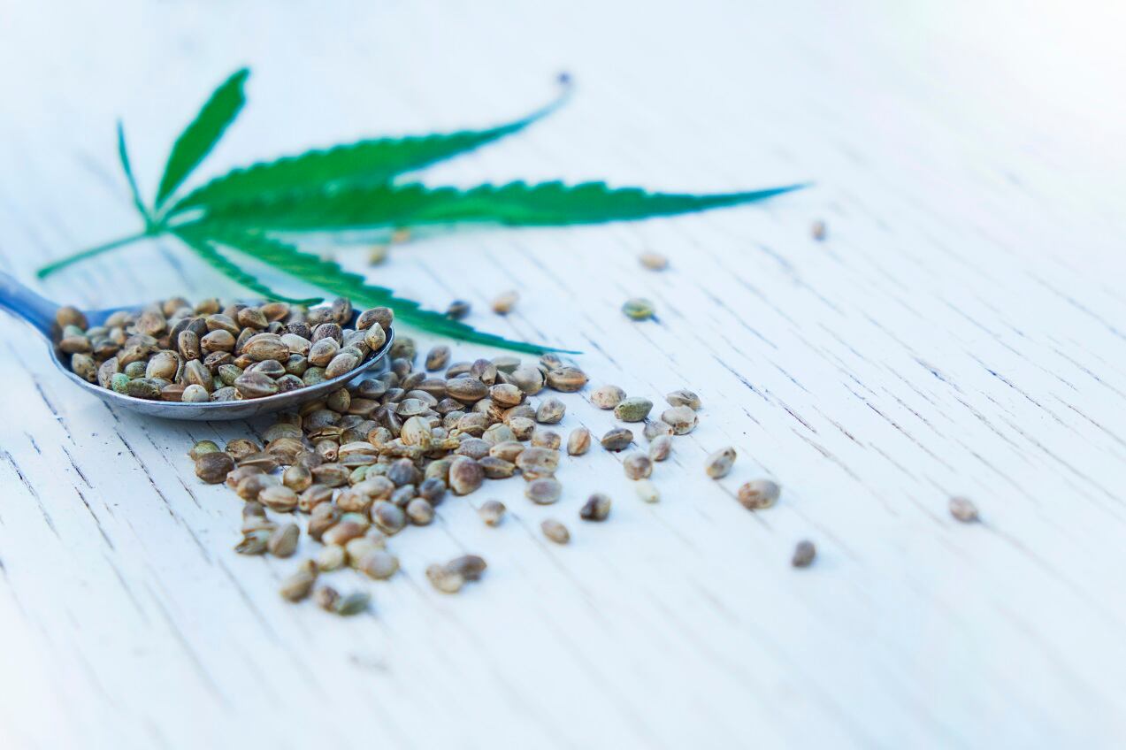 CBD lacks standardisation on quality, concentration and price: ‘We encountered a wild, wild west scenario’