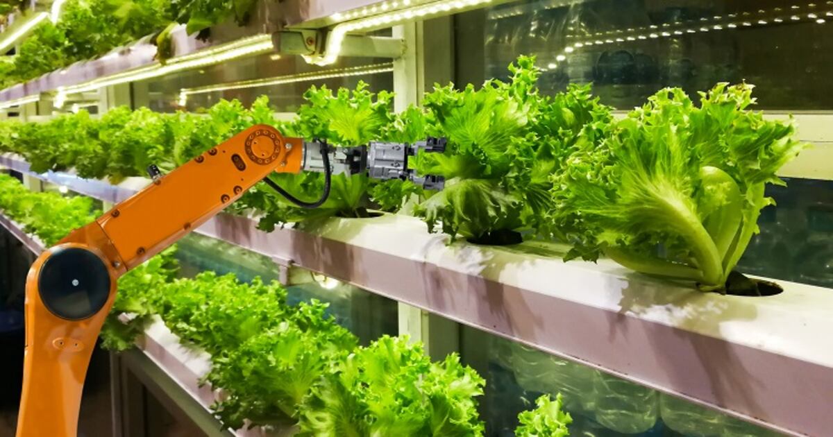 www.foodnavigator.com