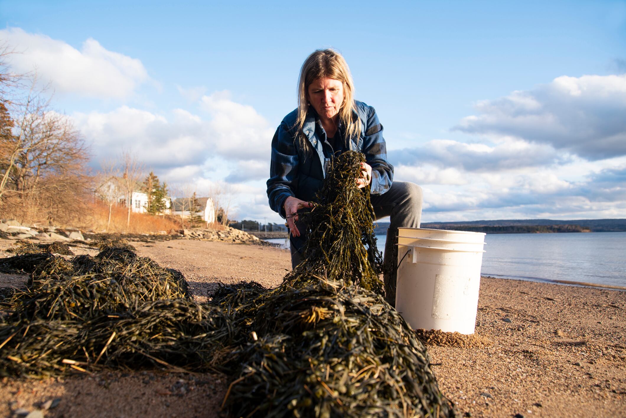 Increasing-seaweed-production-can-address-food-security-and-sustainability.jpg